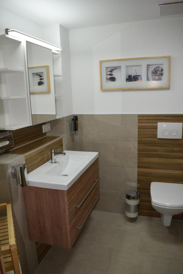 Apartments Mit Klimaanlage Am Neckarufer, Schoene Aussicht Bad Friedrichshall Ngoại thất bức ảnh