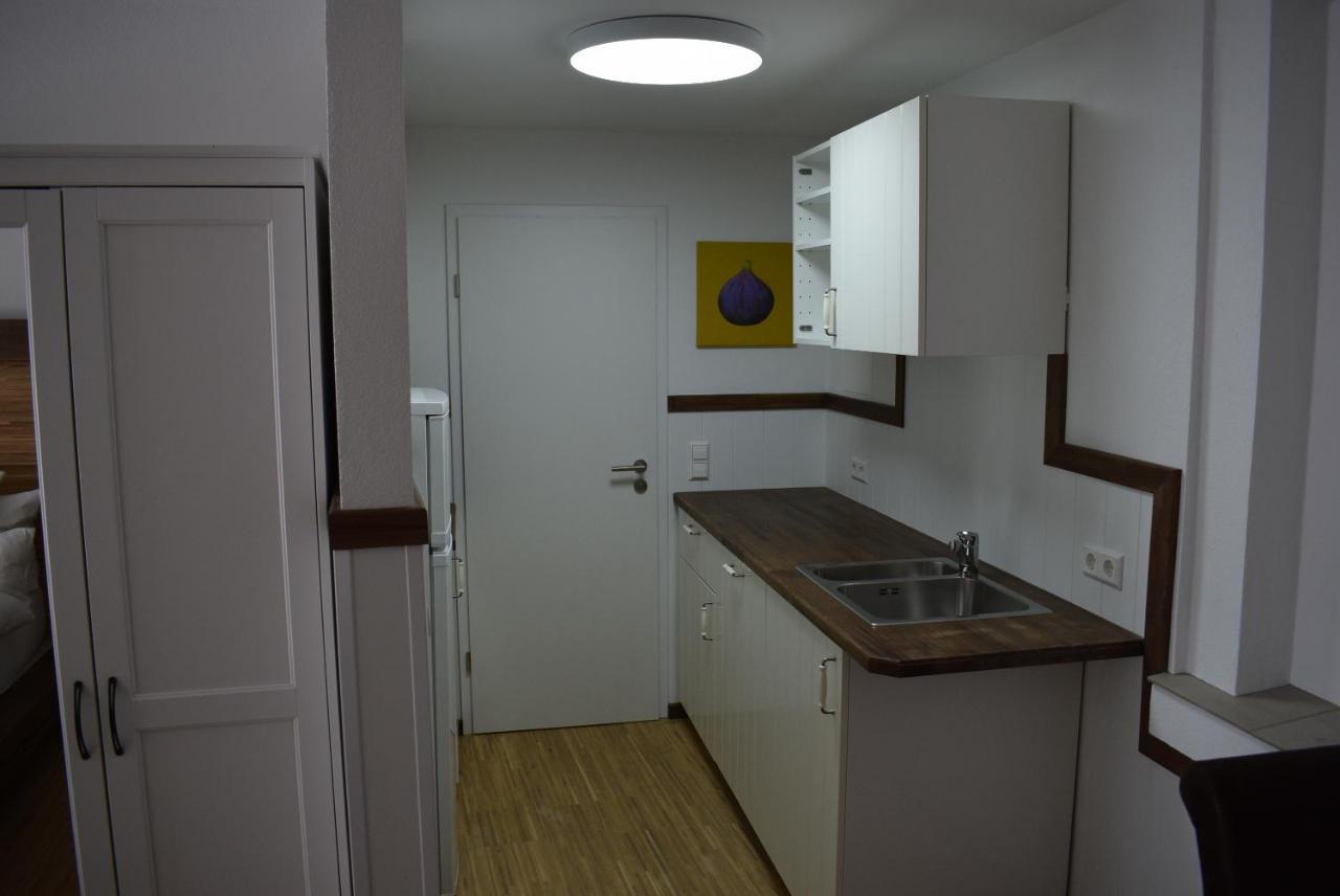 Apartments Mit Klimaanlage Am Neckarufer, Schoene Aussicht Bad Friedrichshall Ngoại thất bức ảnh
